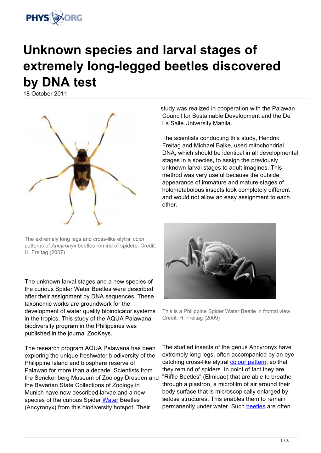 Unknown Species and Larval Stages of Extremely Long-Legged Beetles Discovered by DNA Test 18 October 2011