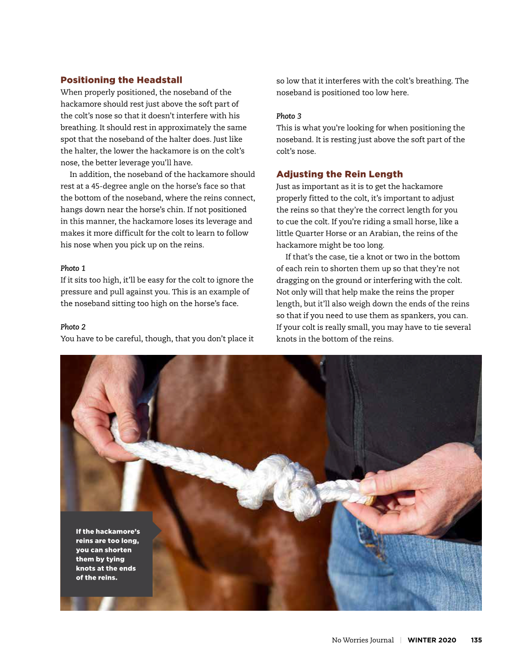 Positioning the Headstall Adjusting the Rein Length