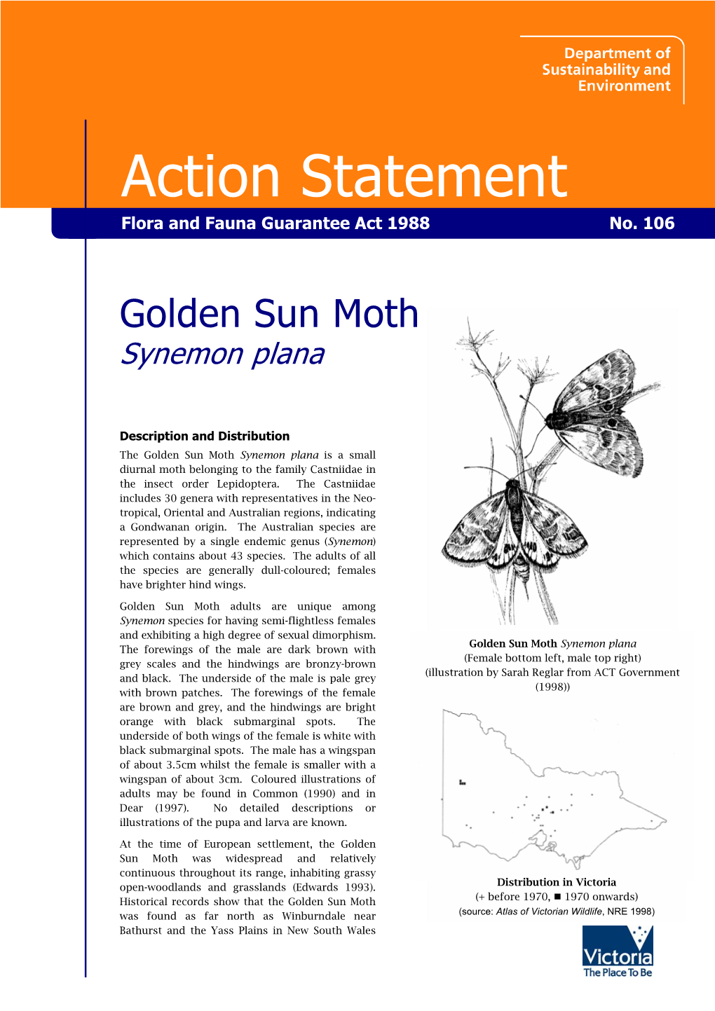 Golden Sun Moth Synemon Plana