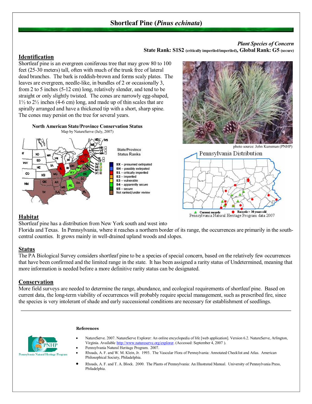 Shortleaf Pine (Pinus Echinata)