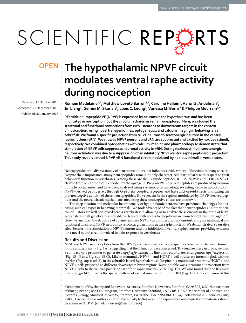 The Hypothalamic NPVF Circuit Modulates Ventral Raphe Activity
