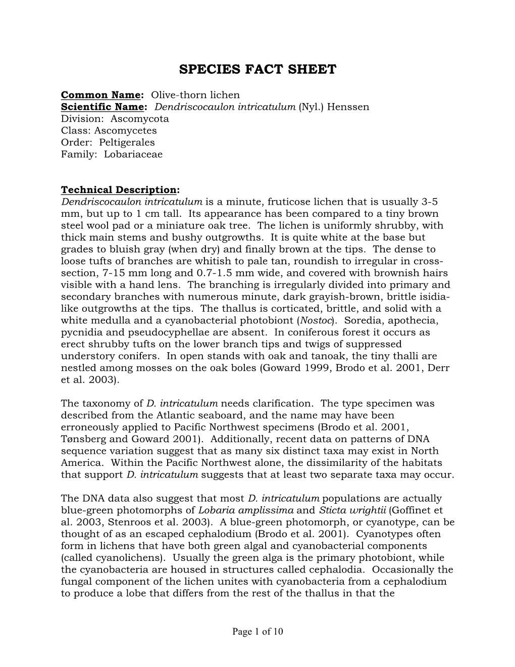 Dendriscocaulon Intricatulum Species Fact Sheet