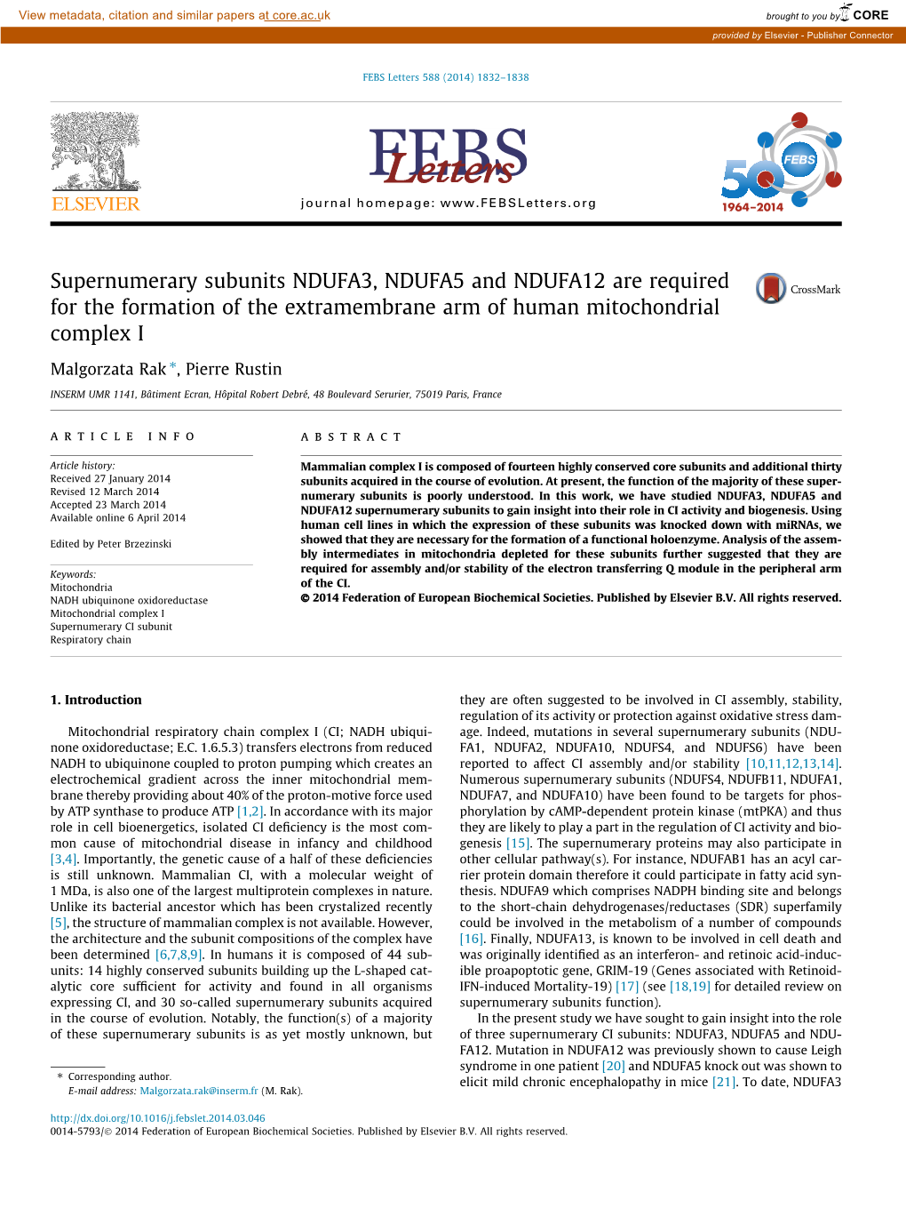 Supernumerary Subunits NDUFA3, NDUFA5 and NDUFA12