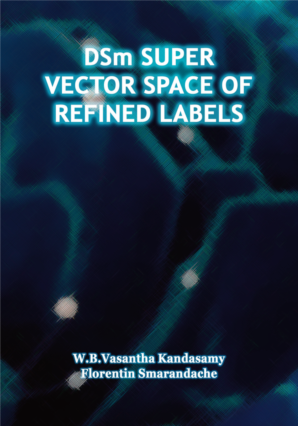 Dsm Super Vector Space of Refined Labels