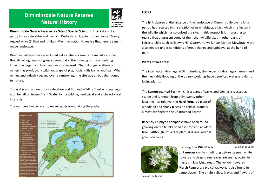 Dimminsdale Nature Reserve Natural History