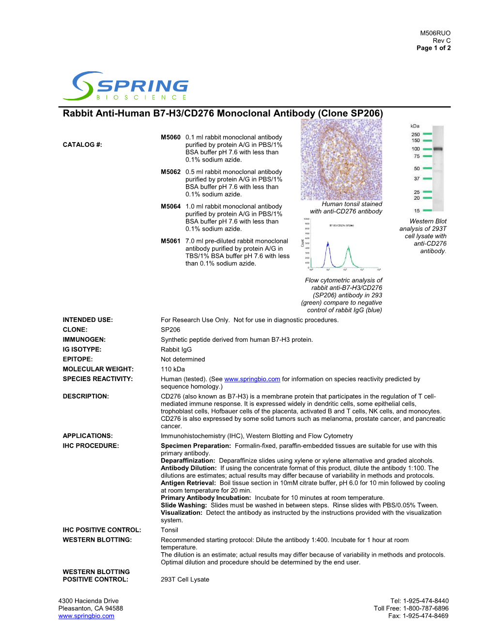 Rabbit Anti-Human B7-H3/CD276 Monoclonal Antibody (Clone SP206)