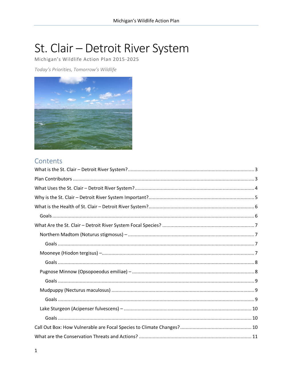 St. Clair-Detroit River System (Accessible)