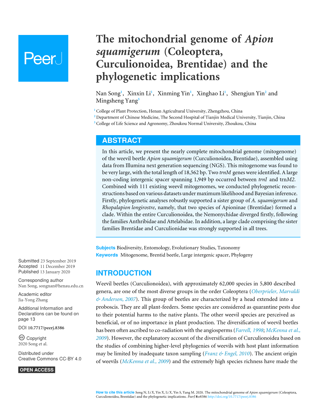 The Mitochondrial Genome of Apion Squamigerum (Coleoptera, Curculionoidea, Brentidae) and the Phylogenetic Implications