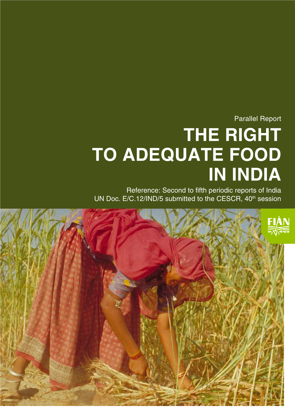 The Right to Adequate Food in India (REPORT FIAN)