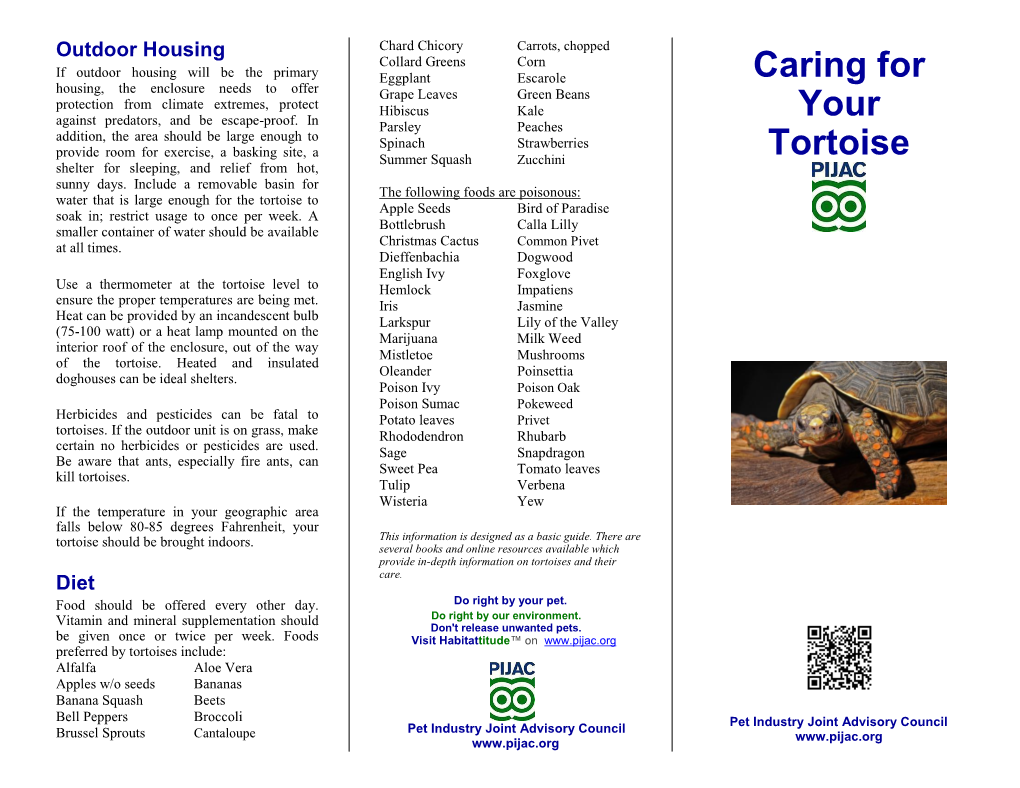 Caring for Your Tortoise