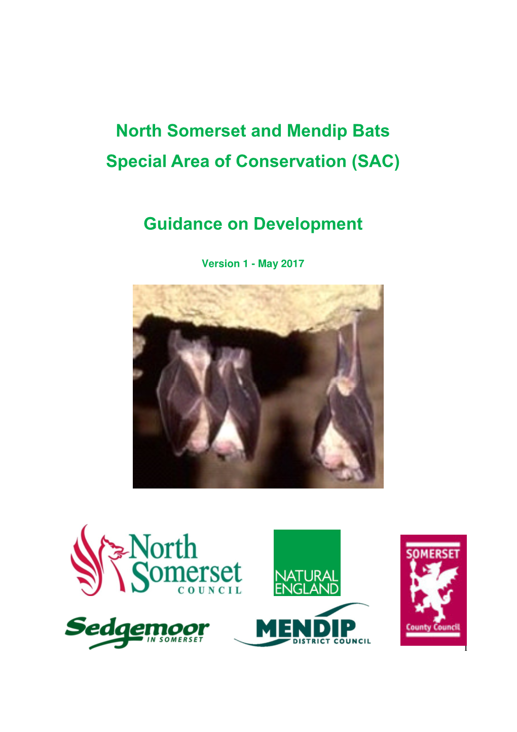 North Somerset and Mendip Bats Special Area of Conservation (SAC)