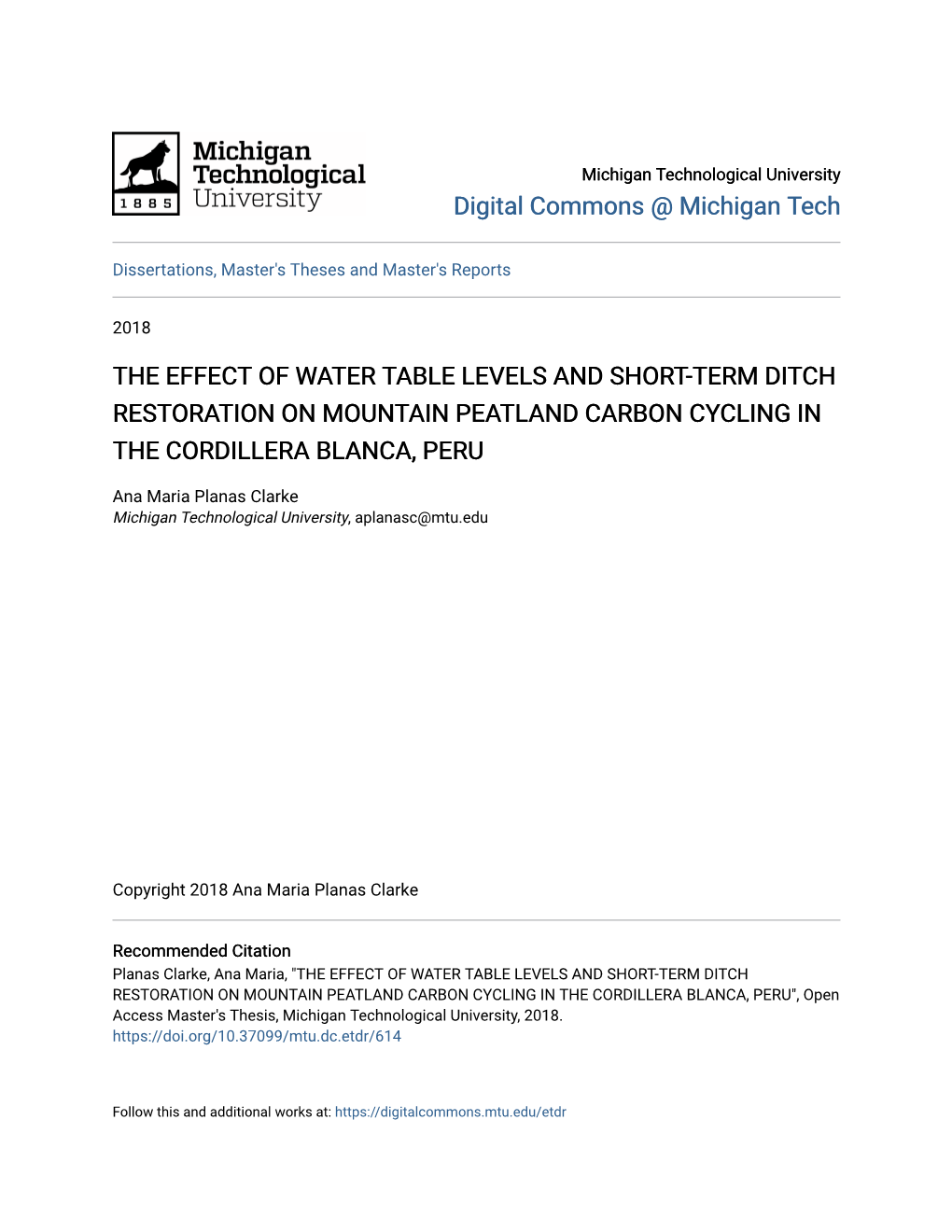 The Effect of Water Table Levels and Short-Term Ditch Restoration on Mountain Peatland Carbon Cycling in the Cordillera Blanca, Peru