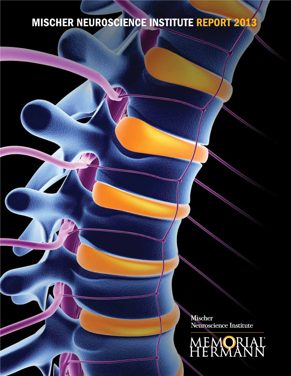 Mischer Neuroscience Institute Report 2013