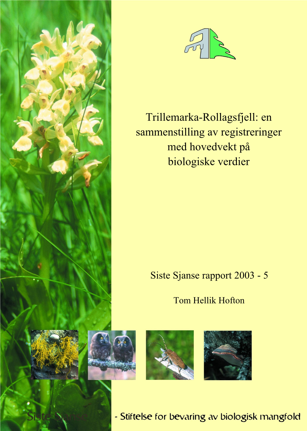 Trillemarka-Rollagsfjell: En Sammenstilling Av Registreringer