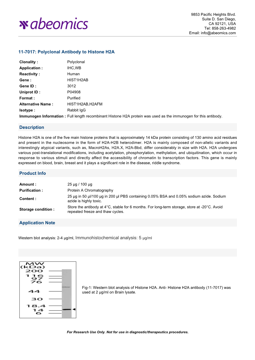 Polyclonal Antibody to Histone H2A Description Product Info