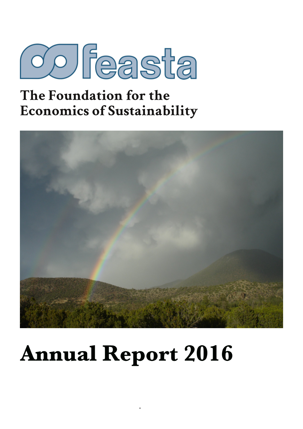 Feasta Annual Report 2016