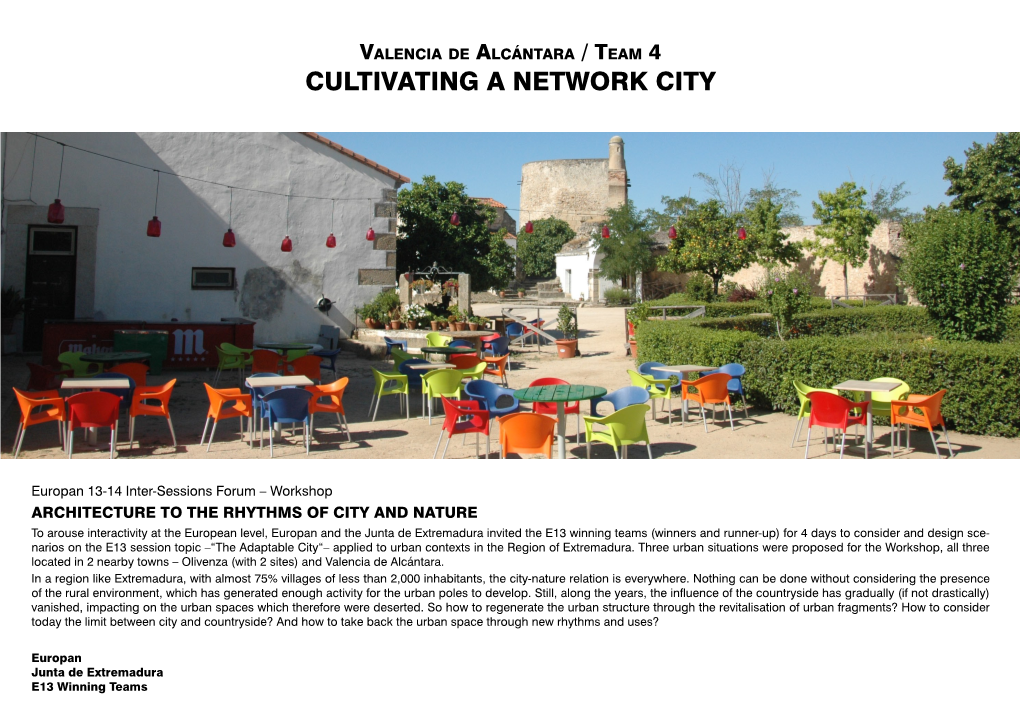 Cultivating a Network City