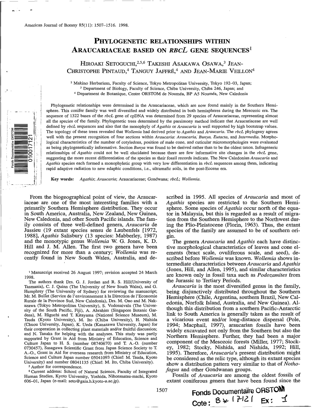 Phylogenetic Relationships Within Araucariaceae Based on RBCL