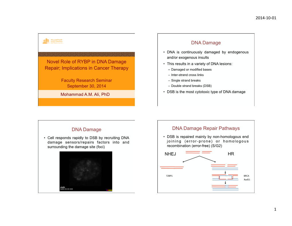 Novel Role of RYBP in DNA Damage Repair; Implications in Cancer