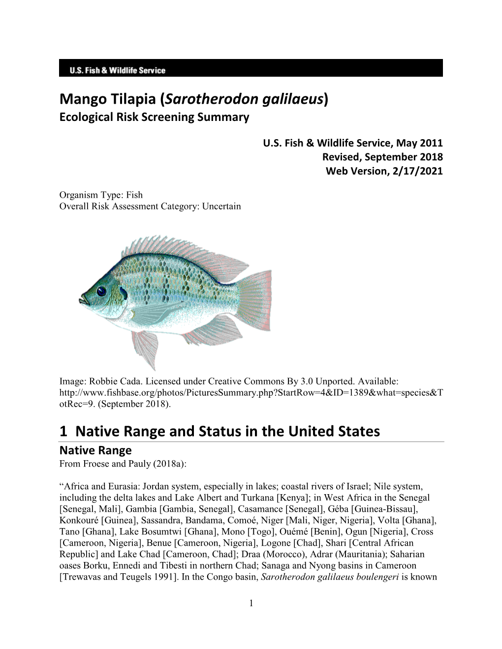 Mango Tilapia (Sarotherodon Galilaeus) Ecological Risk Screening Summary