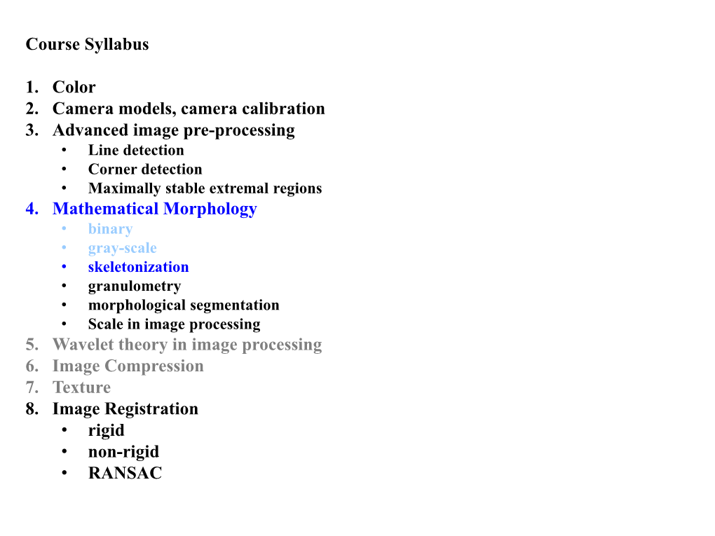 Imagemorphology.Pdf