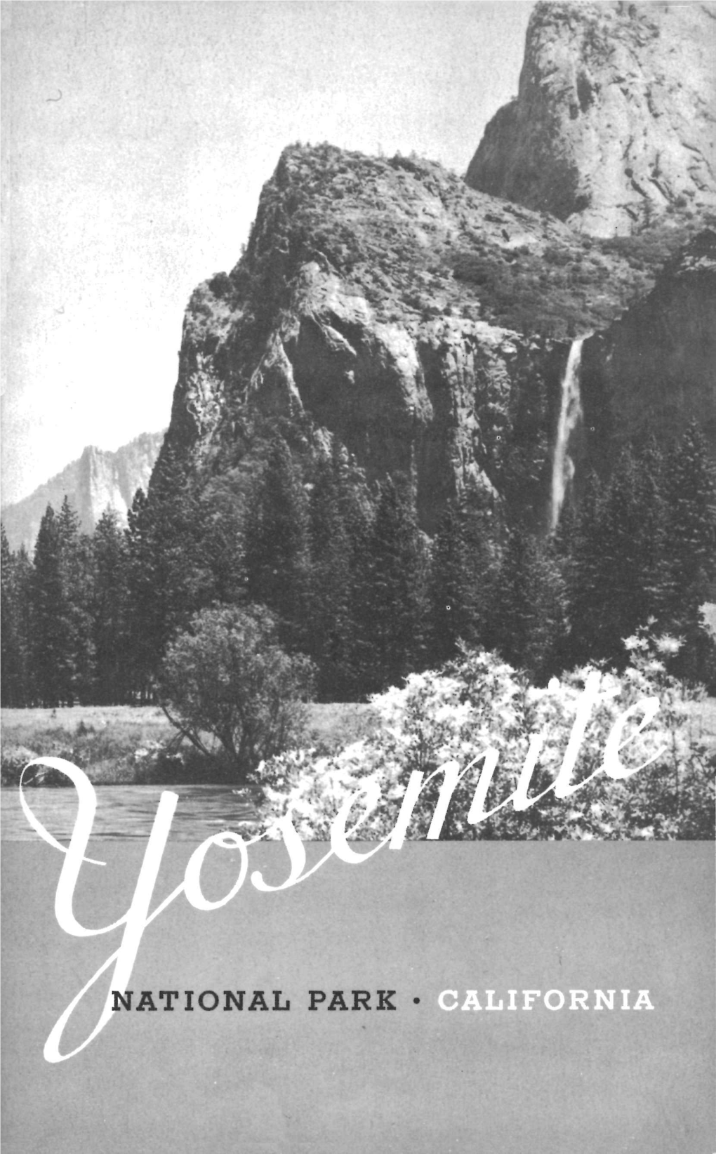 NATIONAL PARK • YOSEMITE Jvatumal(Yaxa CONTENTS CALIFORNIA