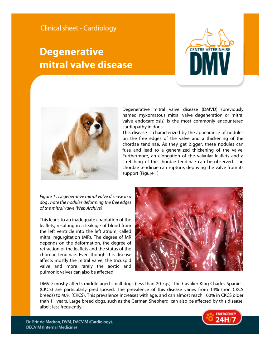 Degenerative Mitral Valve Disease