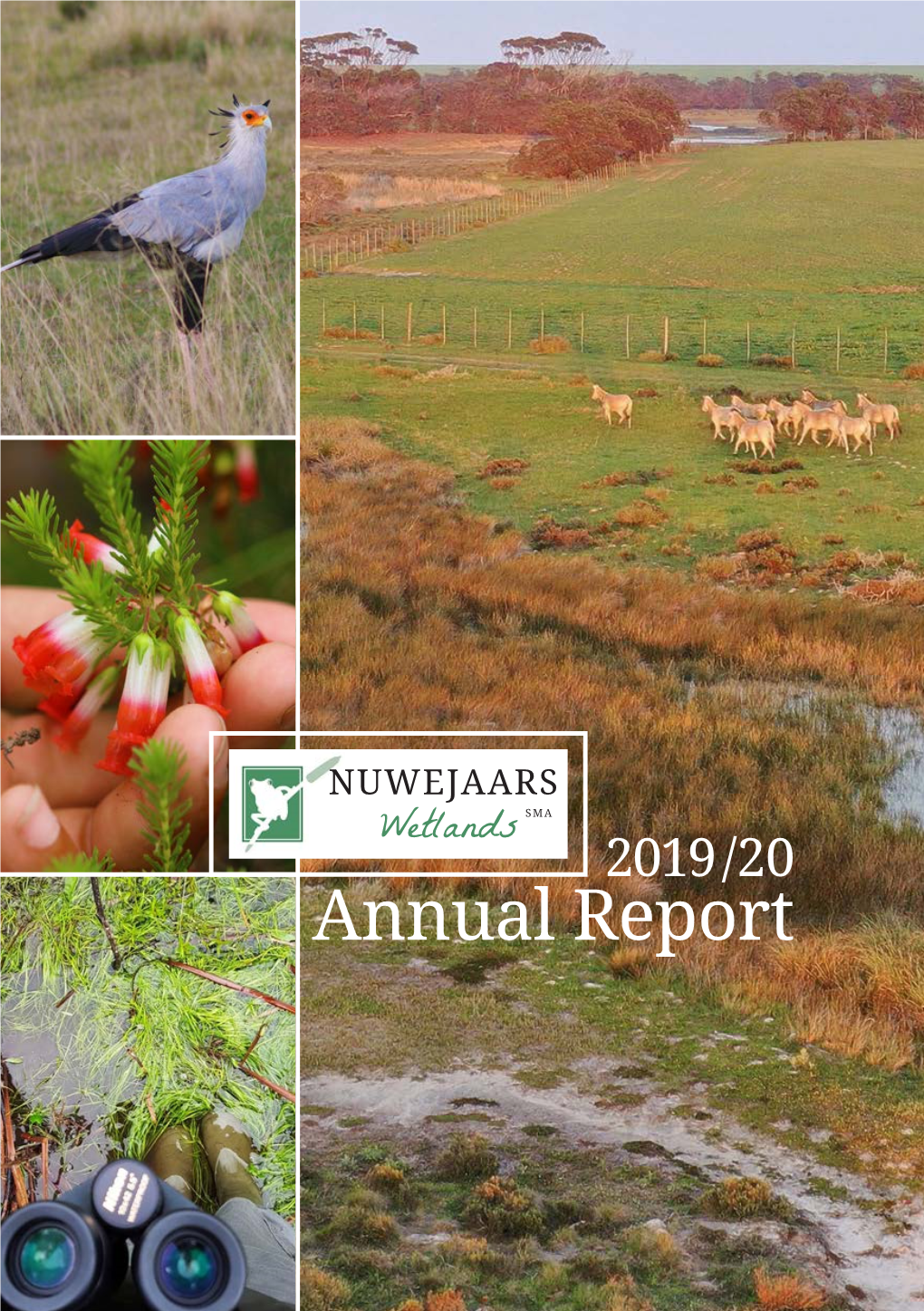 Annual Report