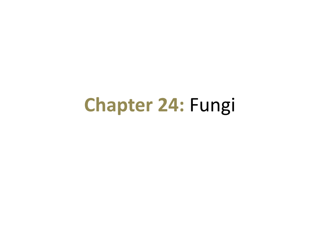 Club Fungi) • Imperfect Fungi Are Those Not Yet Classified Fungal Classification Zygomycetes Sac Fungi Club Fungi