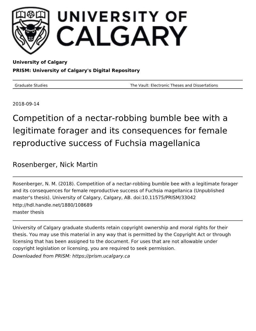 Competition of a Nectar-Robbing Bumble Bee with a Legitimate Forager and Its Consequences for Female Reproductive Success of Fuchsia Magellanica