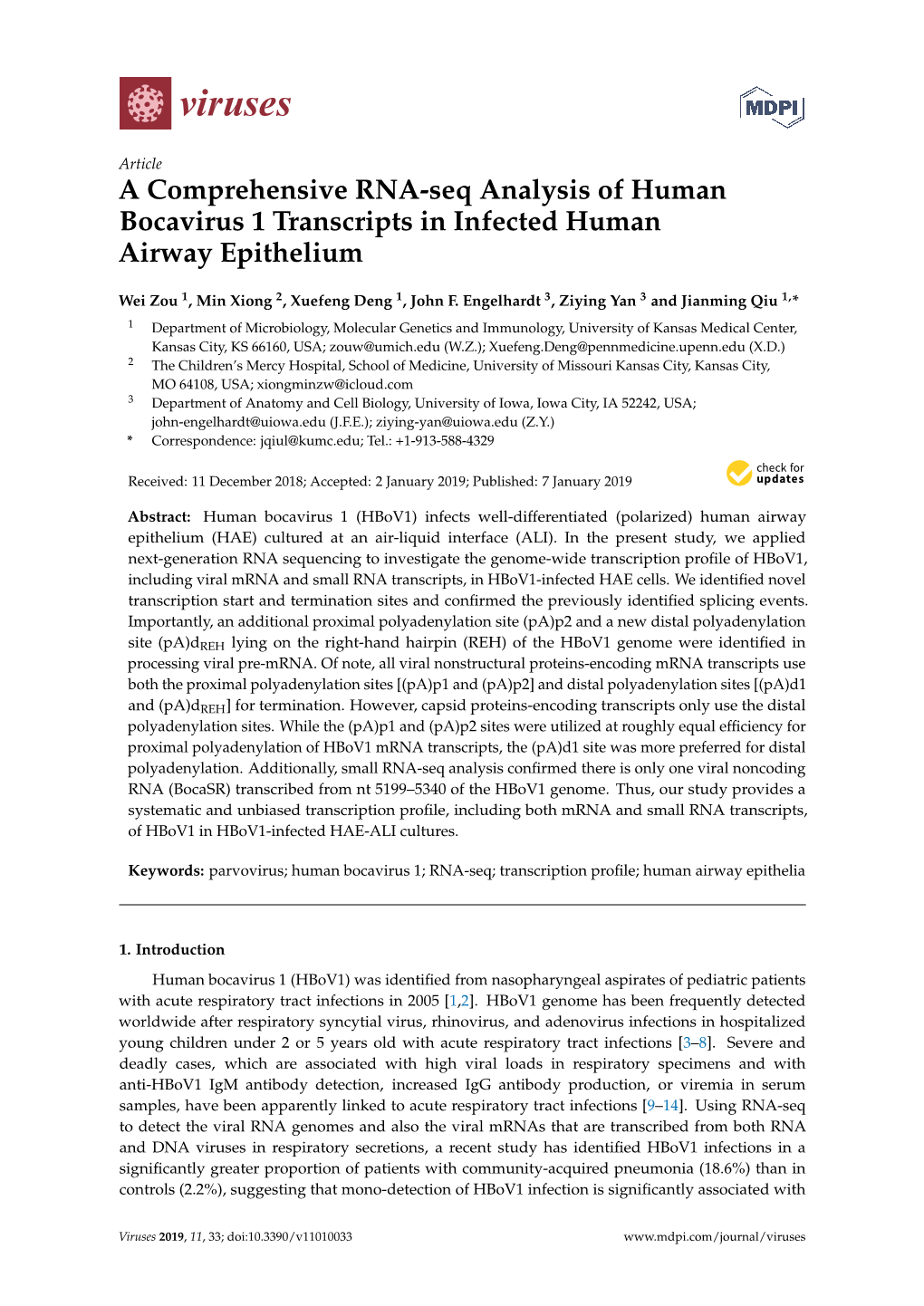 A Comprehensive RNA-Seq Analysis of Human Bocavirus 1 Transcripts in Infected Human Airway Epithelium