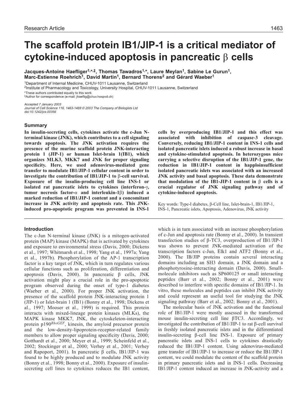 The Scaffold Protein IB1/JIP-1 Is a Critical Mediator of Cytokine-Induced Apoptosis in Pancreatic Β Cells