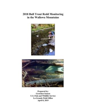 2018 Bull Trout Redd Monitoring in the Wallowa Mountains