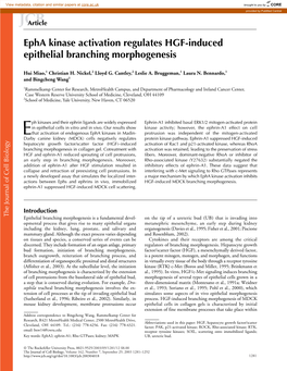 Epha Kinase Activation Regulates HGF-Induced Epithelial Branching
