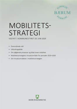 Mobilitets- Strategi Vedtatt I Kommunestyret 19