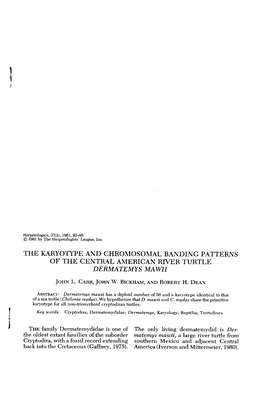 The Karyotype and Chromosomal Banding Patterns of the Central American River Turtle Dermatemys Mawii