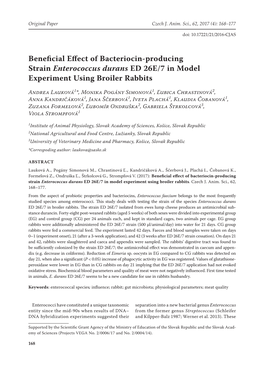 Beneficial Effect of Bacteriocin-Producing Strain Enterococcus Durans ED 26E/7 in Model Experiment Using Broiler Rabbits