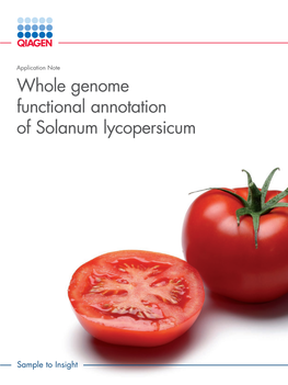 Whole Genome Functional Annotation of Solanum Lycopersicum