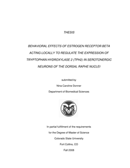 Thesis Behavioral Effects Of