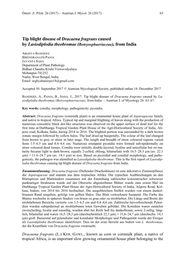Tip Blight Disease of Dracaena Fragrans Caused by Lasiodiplodia Theobromae (Botryosphaeriaceae), from India