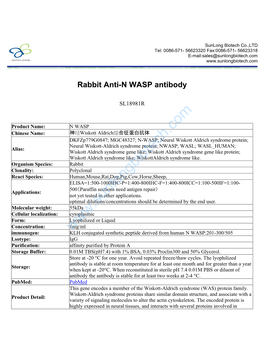 Rabbit Anti-N WASP Antibody-SL18981R