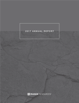 2017 Annual Report Dear Fellow Shareholders