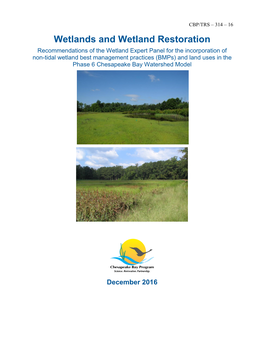 Wetlands and Wetland Restoration