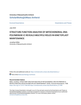 Structure Function Analysis of Mitochondrial Dna Polymerase Ic Reveals Multiple Roles in Kinetoplast Maintenance