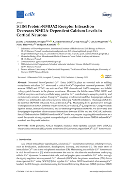 STIM Protein-NMDA2 Receptor Interaction Decreases NMDA-Dependent Calcium Levels in Cortical Neurons