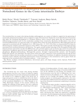 Characterization of Brachyury-Downstream Notochord