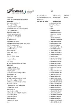 Portfolio Holdings V