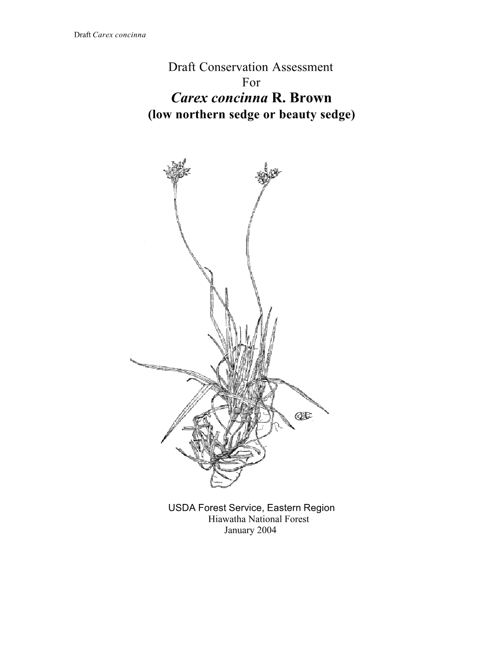 Carex Concinna