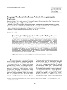 Karyotype Variations in the Genus Pollicaria (Caenogastropoda