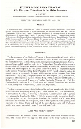 STUDIES in MALESIAN VITACEAE VII. the Genus Tetrastigma in the Malay Peninsula
